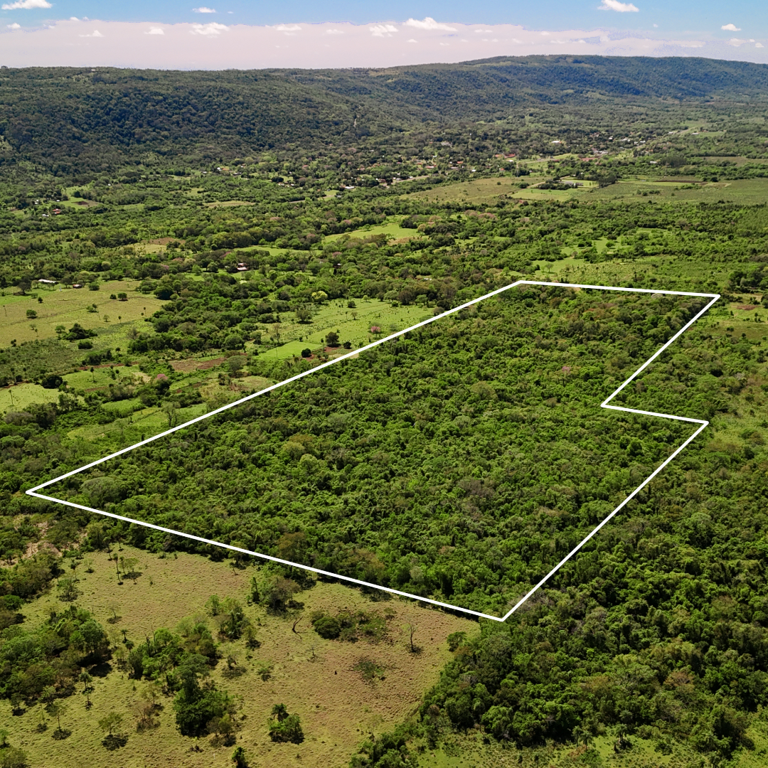 Accompagnement à l'achat d'un terrain au Paraguay