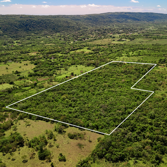 Accompagnement à l'achat d'un terrain au Paraguay
